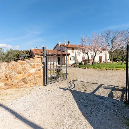 Il Mondanespole By Interhome Casa Coldi Sasso